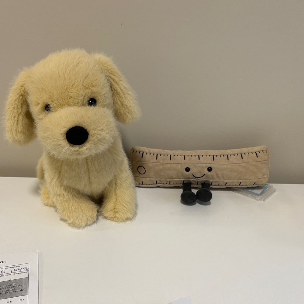 Jellycats nwt dustbag & tag protector. See photos for details.